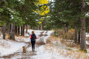 Fototapeta premium A woman jogging and walking the dog in the forest trail in a snowy autumn sunny day. 