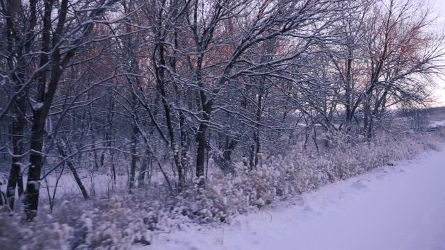 Snow Covered Country Road with Trees