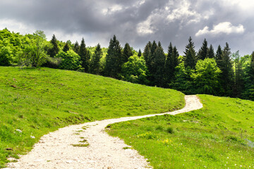Summer mountain landscape. Green meadows crossed by a dirt road. Green fir forest and stormy sky. Tambre, Alpago, Belluno, Italy