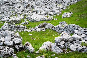 Summer mountain landscape. Detail of a landslide, accumulations of stones on the green lawn. Tambre, Alpago, Belluno, Italy
