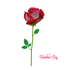 Naklejka premium Happy Valentines Day greeting card with pink and red roses, Valentine rose concept design.