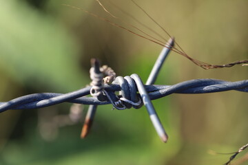 Old barbed wire for walls