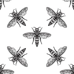 Lineart Black Hand Drawing Wasp Illustration Pattern