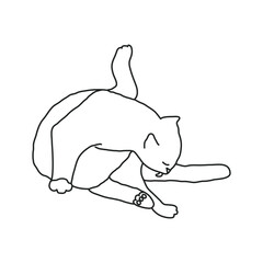 Cosy hand drawn cat. Washing. Vector illustration. Editable lines.