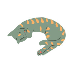 Cosy hand drawn cat with decorations. Sleeping. Vector illustration. Editable lines. Colored.