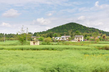 Fototapeta na wymiar china rural landscape with blue sky