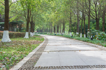 green park road in the spring