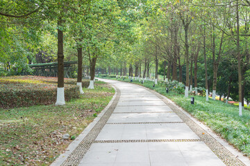 green park road in the spring