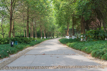 green park road in the spring