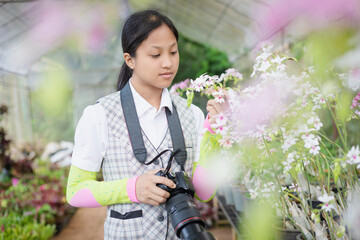 Female photographer taking picture of a beautiful dendrobium orchids using dslr camera