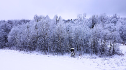 Landscape of nature in a snowy forest, aero photo, top view of a forest in winter