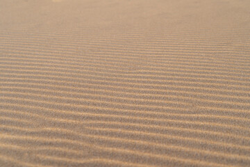 Sand texture waves close up. Wavy background pattern on desert. Wind mark on the sand dune