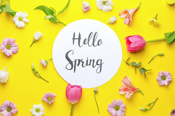 Beautiful flowers and card with text HELLO SPRING on color background