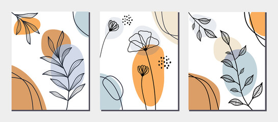 Collection of botanical art lines on abstract backgrounds