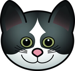 Head of a domesticated pet cat with a pink nose and olive eyes. Black and white coat pattern.