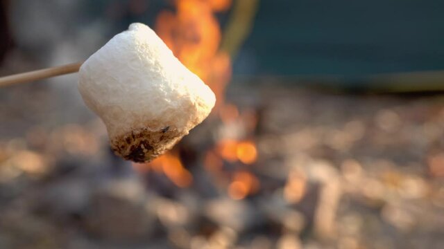 Squeezing fried marshmallows between crackers with chocolate. Smor.