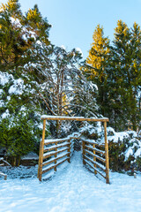 Entrance to a natural block in the snowy forest in the town of Oiartzun in Peñas de Aya, Gipuzkoa....
