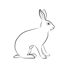 Hare. Outlined silhouette illustration of a sitting hare isolated on a white background. Vector 10 EPS.