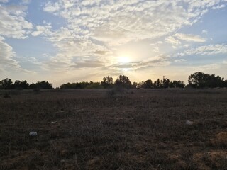 sunset in the field