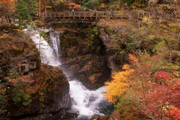 御手洗（みたらい）渓谷　奈良県　吉野郡　天川村 ...
