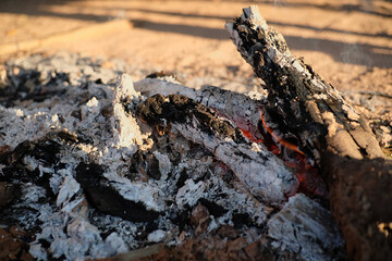The bonfire is burning firewood