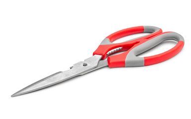 Closed kitchen scissors. Isolated on white.