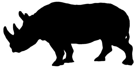 Fototapeta na wymiar Vector silhouette of a rhinoceros in black and white.