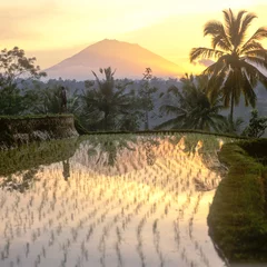 Fotobehang Indonesië/Bali/Mount Agung in het ochtendlicht © Peter