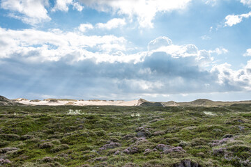 Landschaft auf Sylt