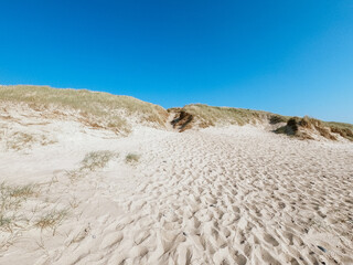 Fototapeta na wymiar View over wide sand dunes at the beach, sunny day in summer, blue sky