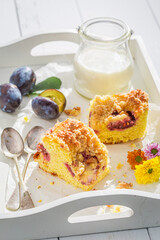 Closeup of homemade and sweet plum pie