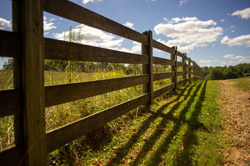 Fototapeta na wymiar fence in the field