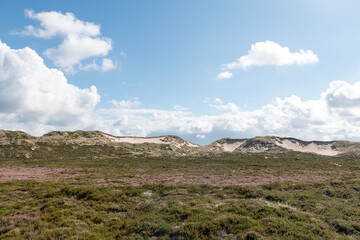 Landschaft auf Sylt