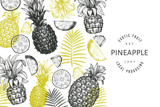 Hand drawn sketch style pineapple banner. Organic fresh fruit vector illustration. Engraved style botanical design template.