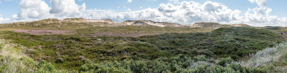 Landschaft auf Sylt