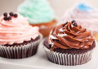 Cupcake Box to Take-Away. High quality photo.