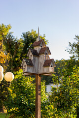 bird house in the forest