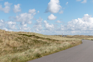 Landschaft auf Sylt
