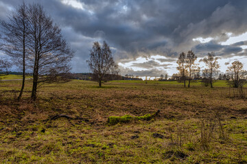 Trees on a meadow with an amazing sunset sky in the background. Picture from Lund, southern Sweden