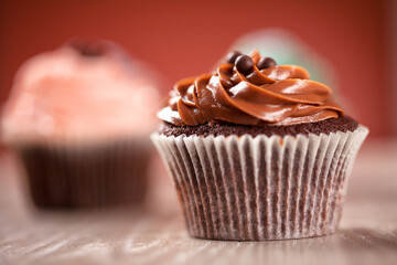 Selection of Colored Cupcakes. High photo quality