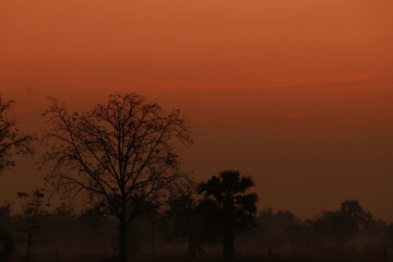 Fototapeta na wymiar Beautiful light , silhouette and blue sky in the morning