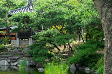 pagoda at one korean park