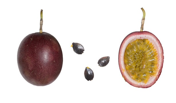 tropical fruits white background