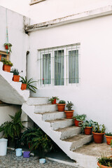 Mediterranean architecture and flowers on the terrace. Turkish decoration of terraces with pots and white plaster.