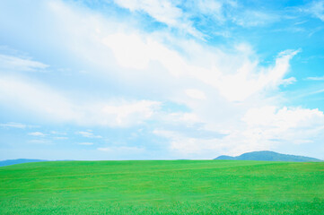 Empty green grass field with blue sky and white clouds,sunny weather in spring summer.