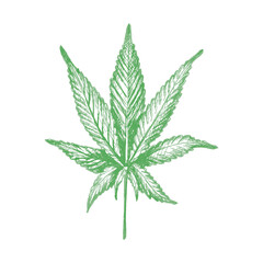 Marijuana leaf. Vector vintage hatching monochrome illustration. Isolated on white