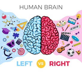 Brain Hemi Spheres Composition