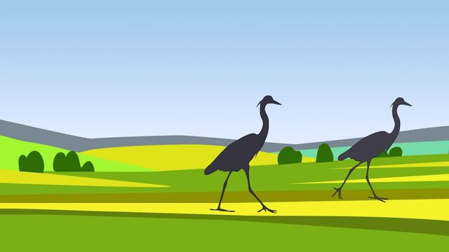 Landscape with grey herons walking in the fields (animation, seamless loop)