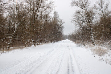 Snowy road in the forest. Winter landscape.