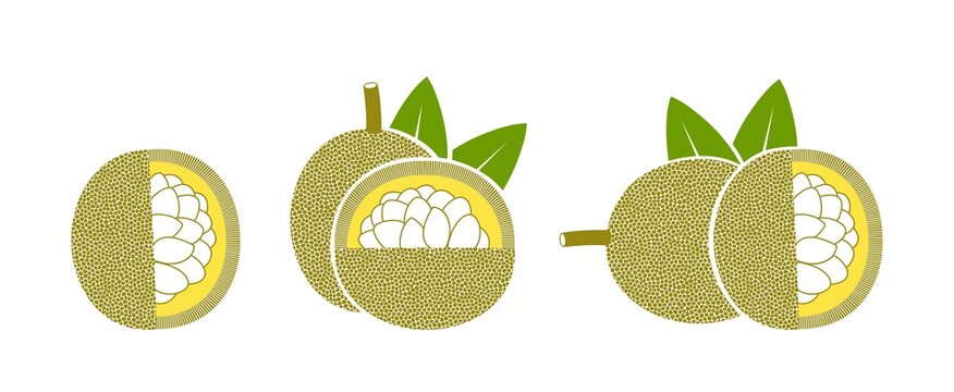 Marang logo. Isolated marang  on white background